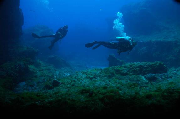 Explorações durante mergulho em Pedras Secas I, em Fernando de Noronha - PE (foto de Mateus Harfush - Ciliares)